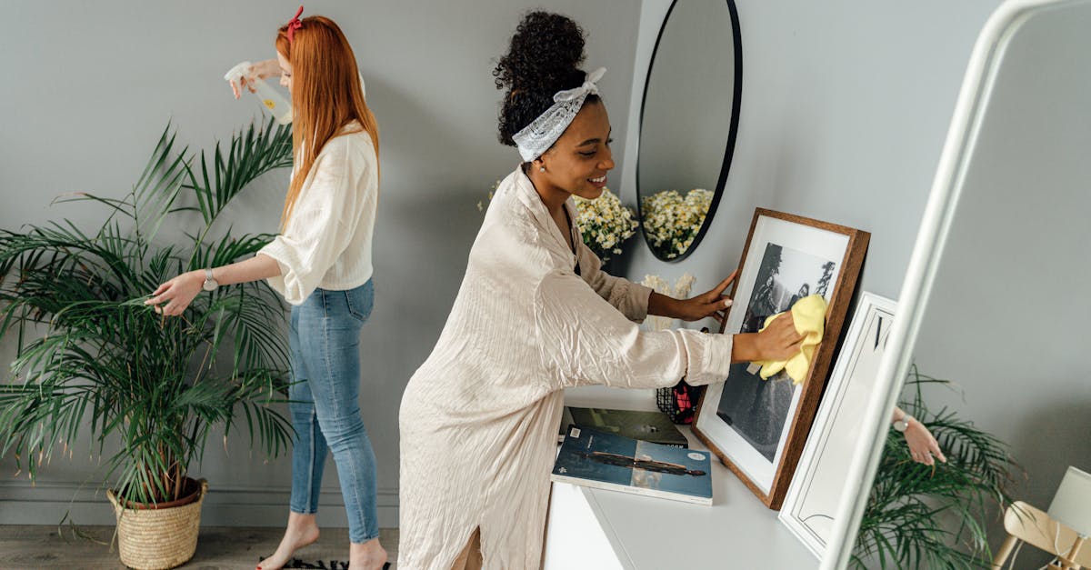 Los Mejores Tapacontadores de 2026: Guía de Compra